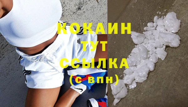 меф Горняк