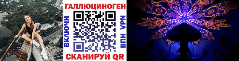 Галлюциногенные грибы GOLDEN TEACHER  Купить где  Курильск 